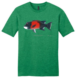 Sheephead Male Casual Tee