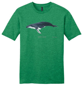 Humpback Whale Casual Tee