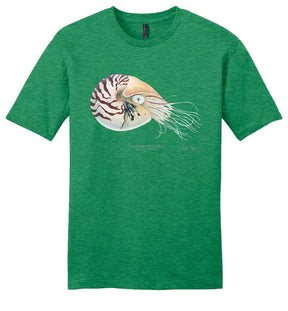 Chambered Nautilus Casual Tee