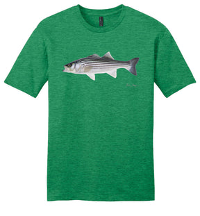 Striped Bass Casual Tee, NEW
