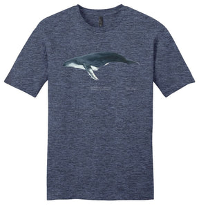 Humpback Whale Casual Tee