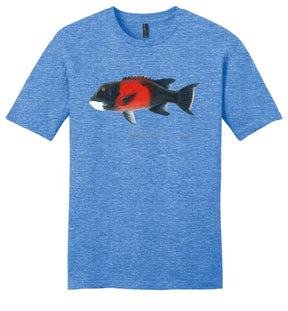 Sheephead Male Casual Tee