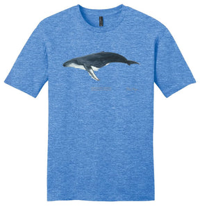 Humpback Whale Casual Tee