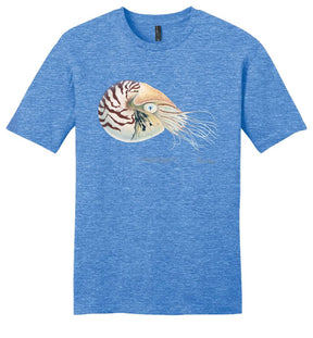 Chambered Nautilus Casual Tee