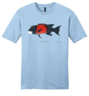 Sheephead Male Casual Tee
