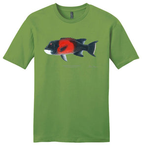 Sheephead Male Casual Tee