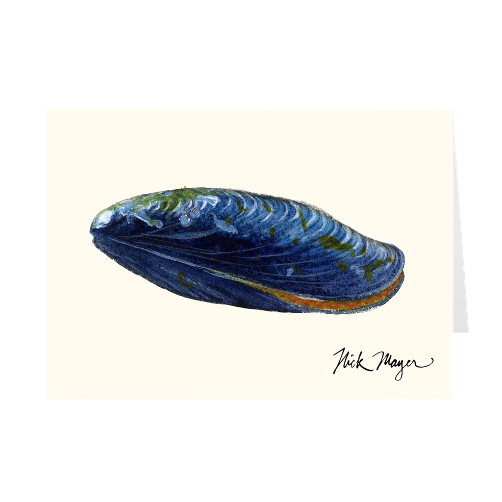 Blue Mussel Notecards