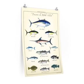 Vintage French Poissons de Rhode Island Poster
