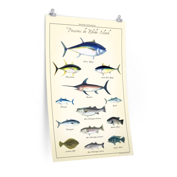 Unique Vintage French Fish Poster: Poissons de Rhode Island