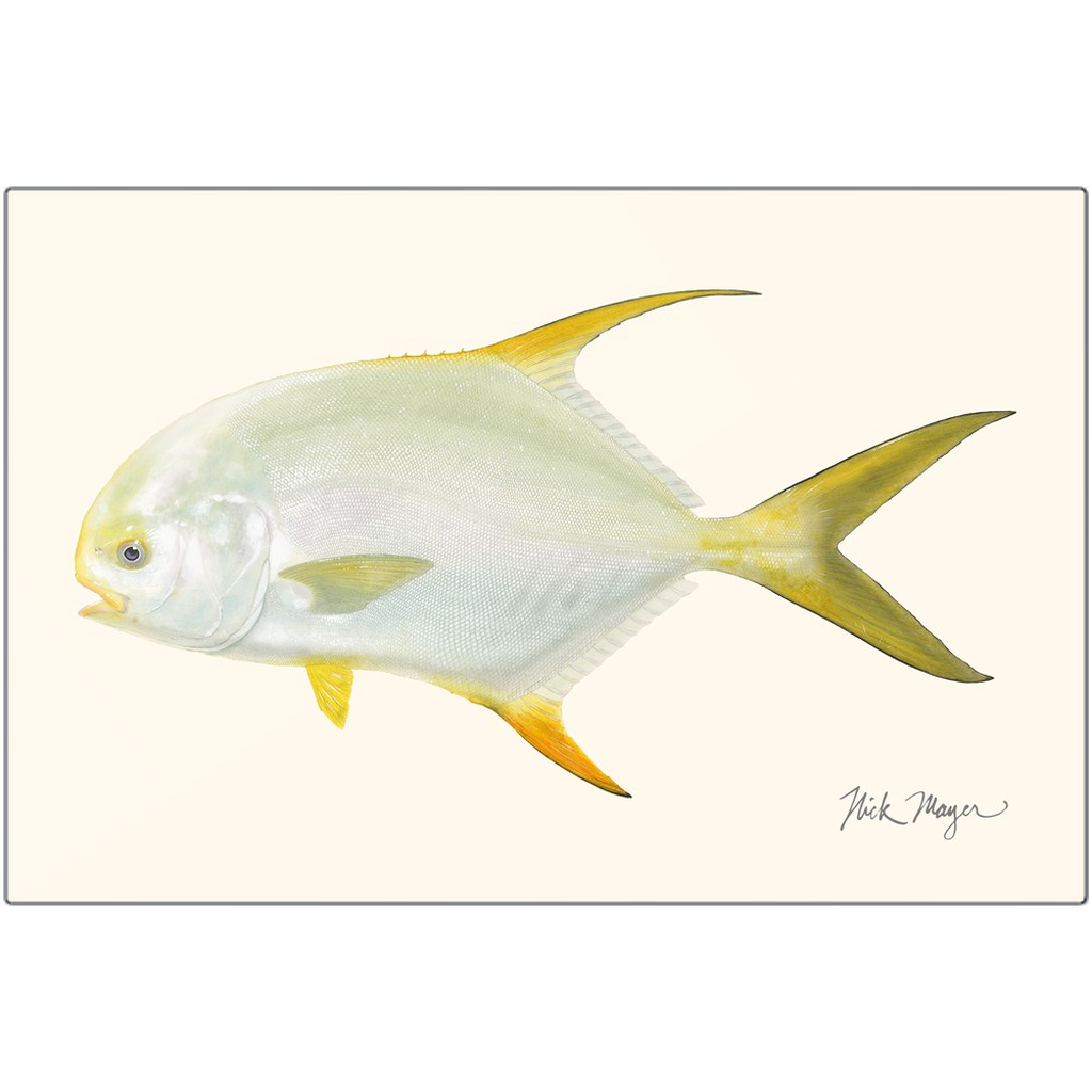 Indo Pacific Permit I Metal Print