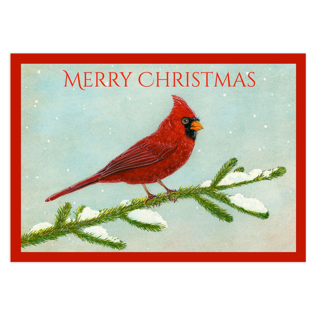 Snowy Cardinal Christmas Cards JUST IN
