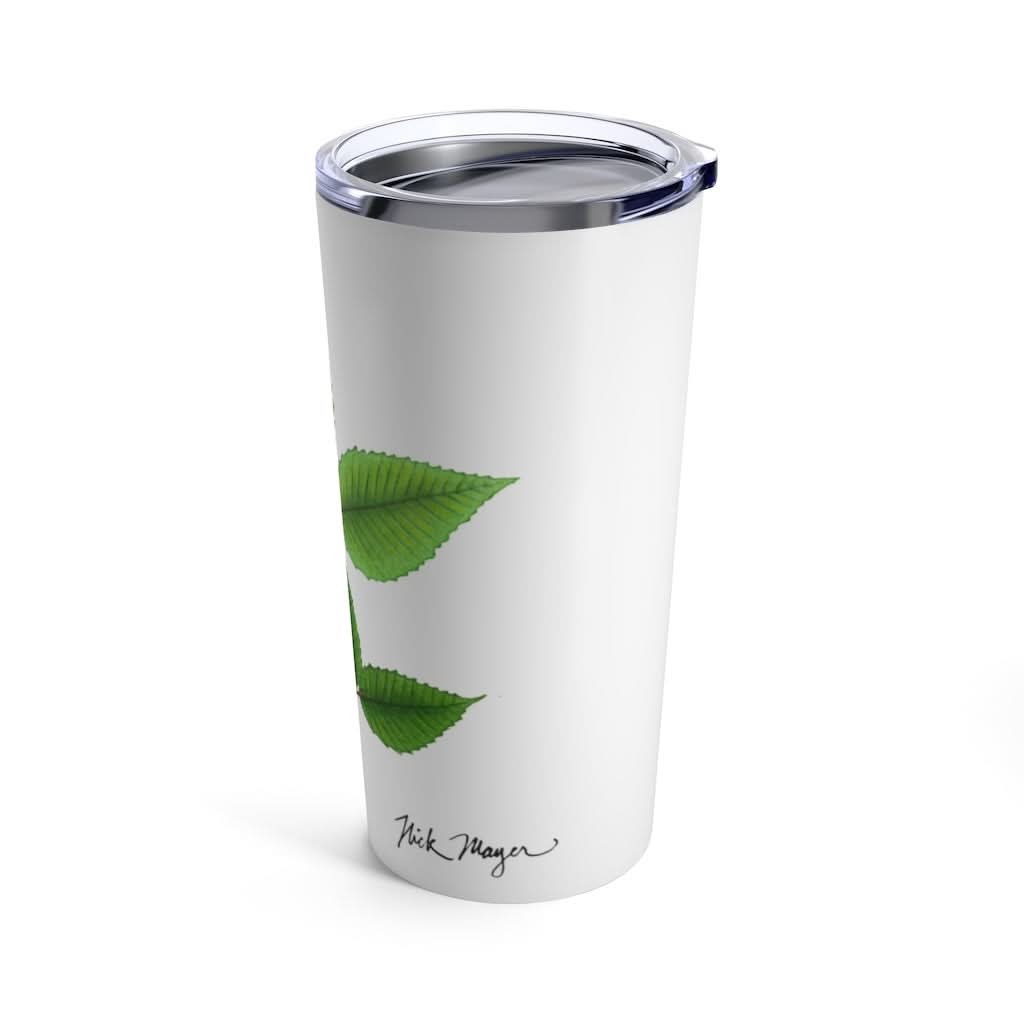 American Beech, 20 oz Steel Tumbler