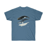 3 Whales Cotton Tee