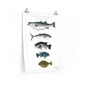 Coastal Gamefish of Fishers Island Poster