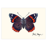 Red Admiral Notecards