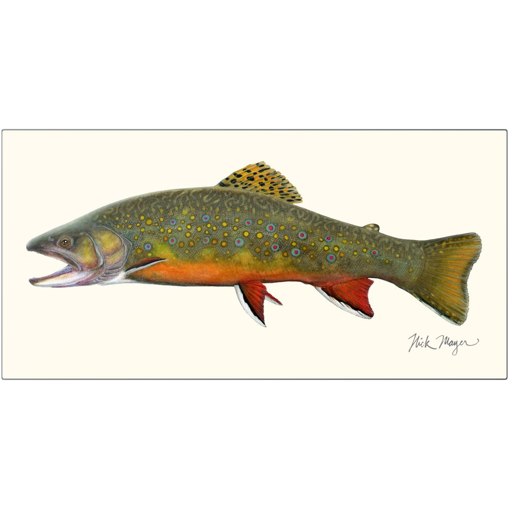 Beaver Pond Brook Trout Metal Print