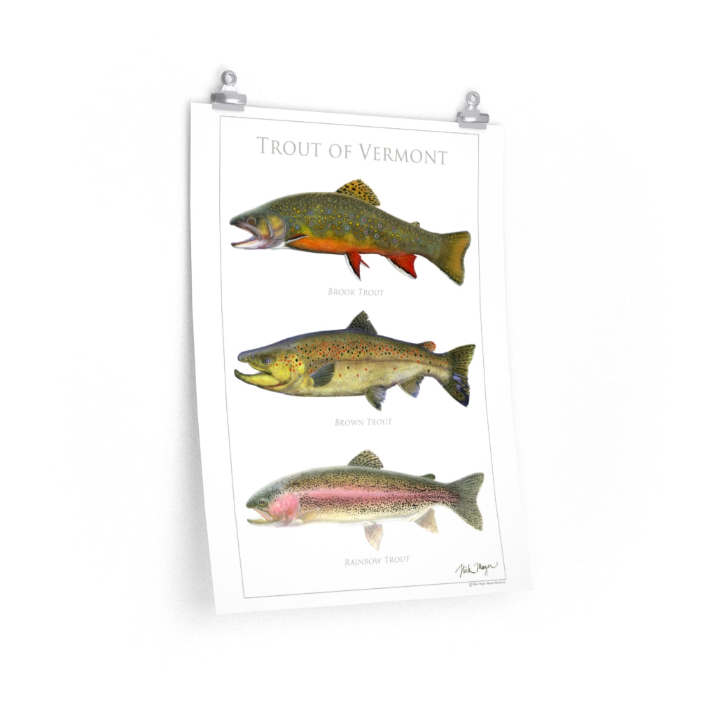 Trout of Vermont Poster : The perfect fisherman's gift!