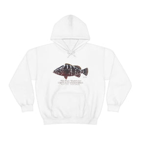 Endangered Nassau Grouper Warm Hoodie