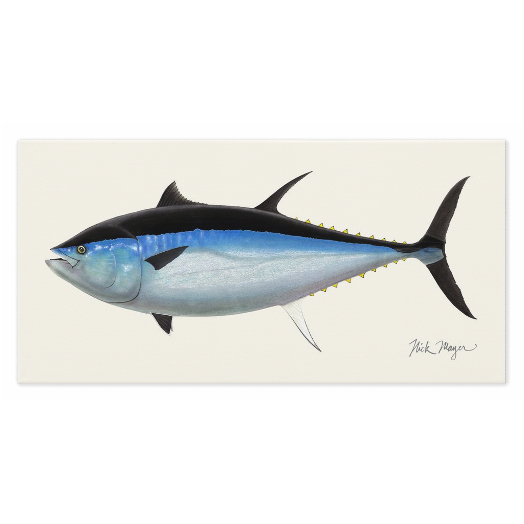 Giant Bluefin Tuna 3 Canvas Wrap