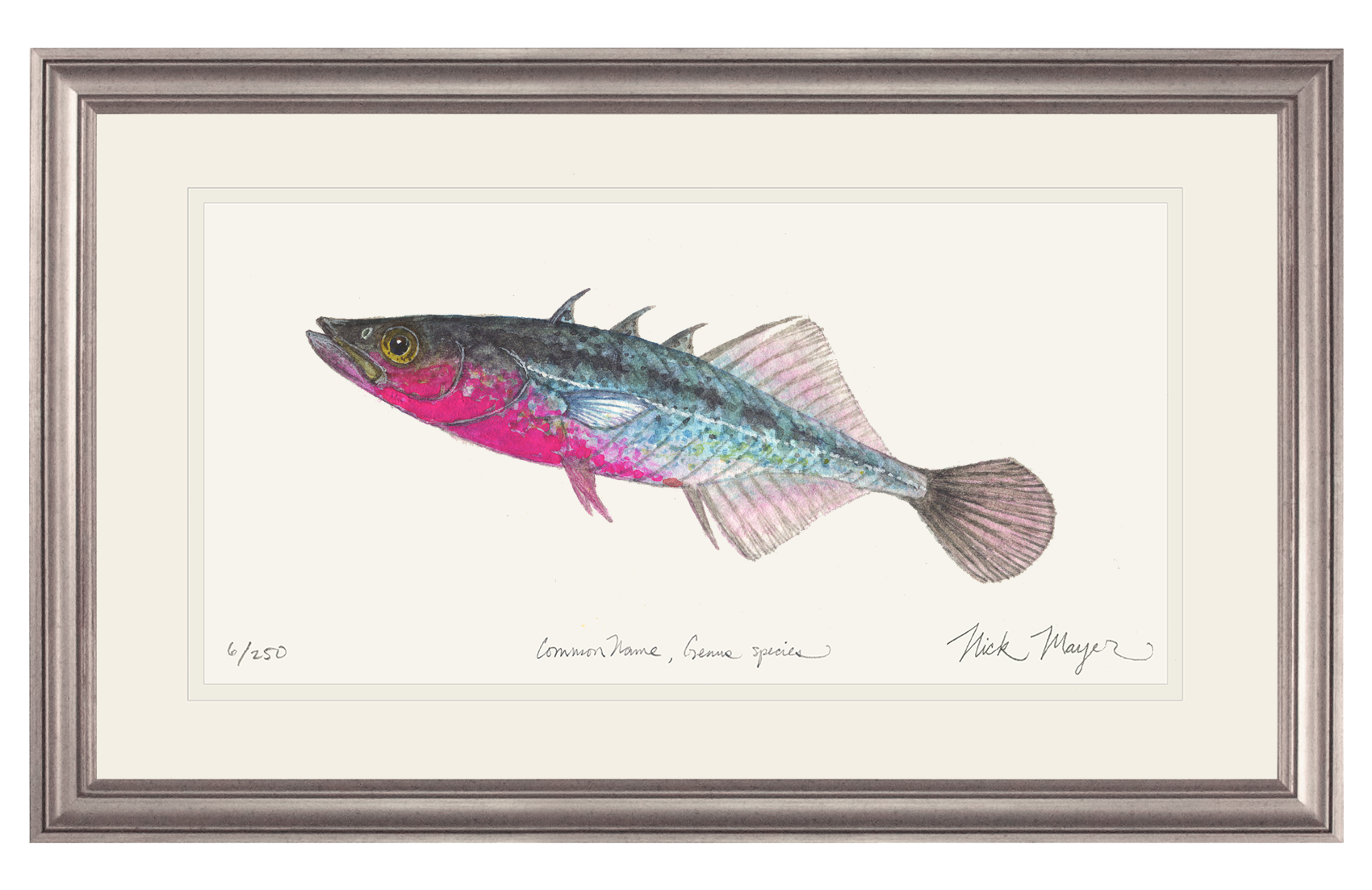 Three Spined Stickleback Limited Edition Print