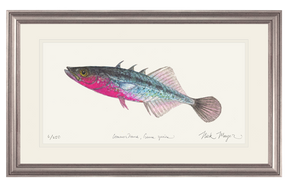 Three Spined Stickleback Print