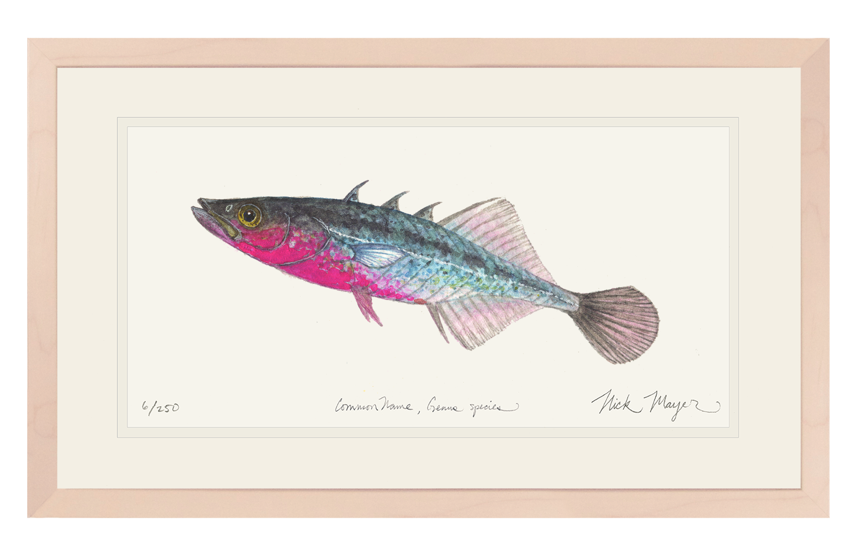 Three Spined Stickleback Limited Edition Print