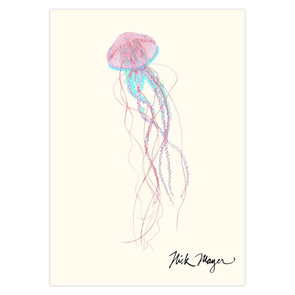 Pink Jellyfish Notecards