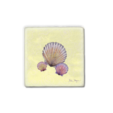 3shellswithyellowtransparentbg.png