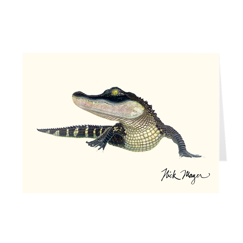 American Alligator Notecards