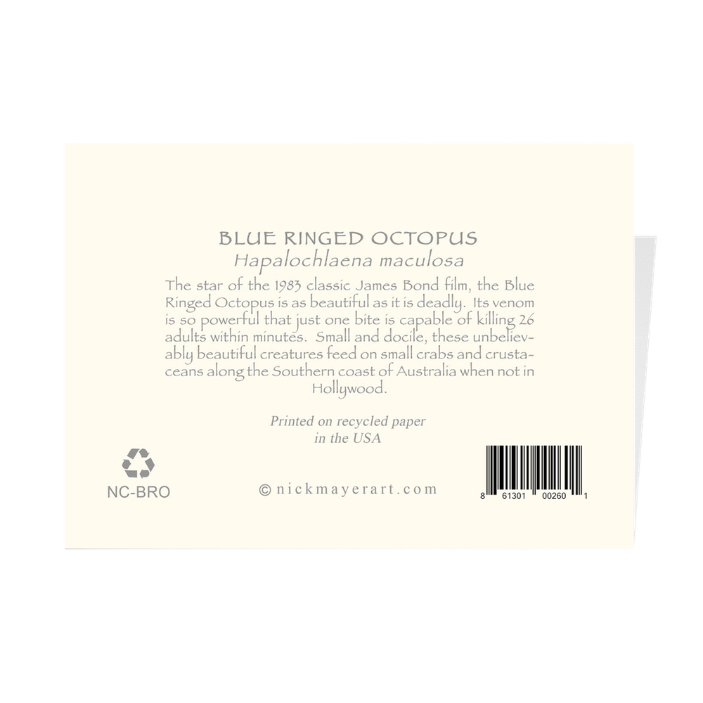 Blue-Ringed Octopus Notecards - Dangerous and Beautiful