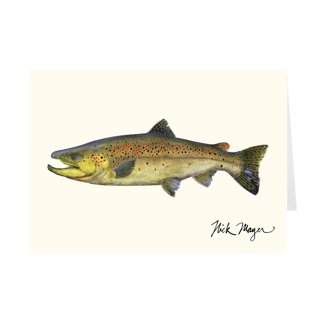 Brown Trout Notecards