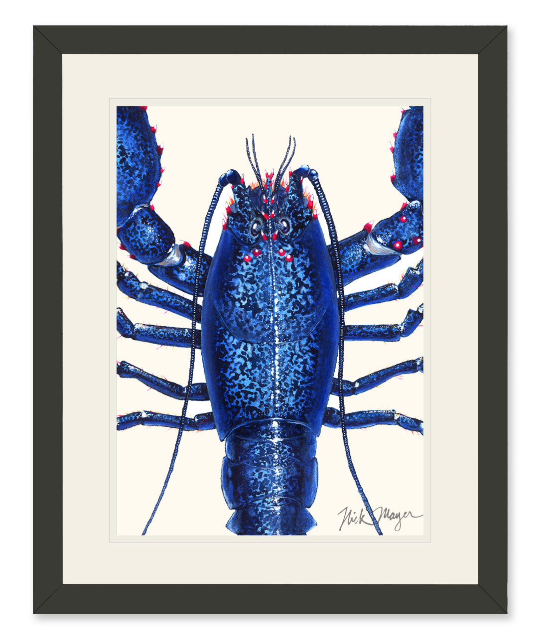 Blue Lobster Closeup Limited Edition Print