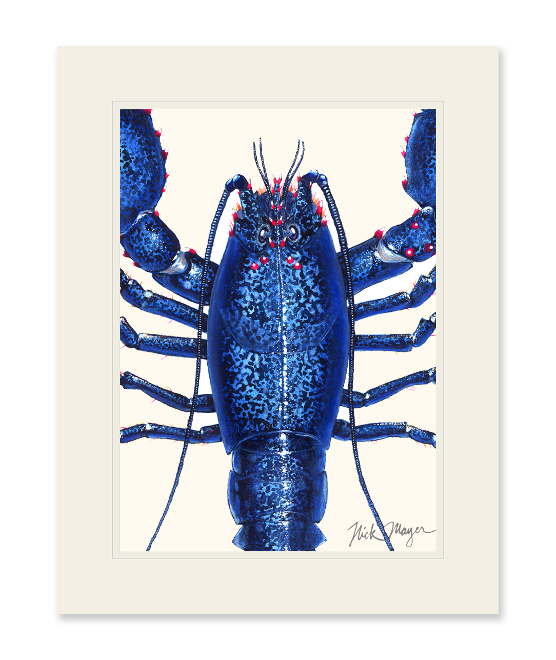 Blue Lobster Closeup Limited Edition Print