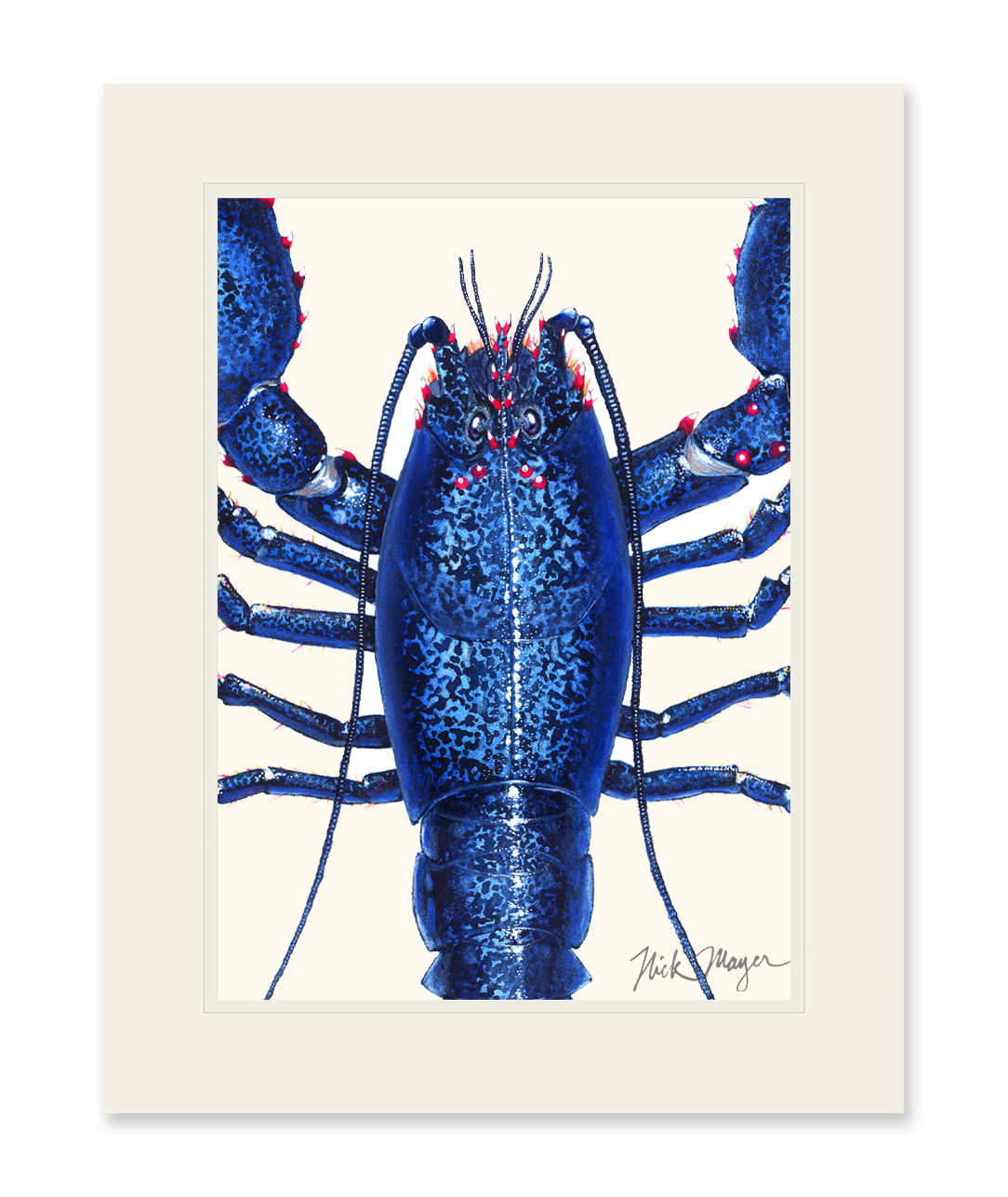 Blue Lobster Closeup Print