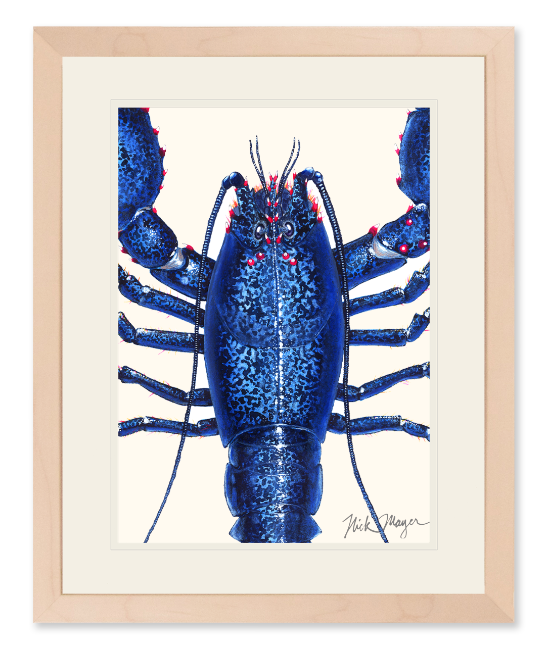 Blue Lobster Closeup Print