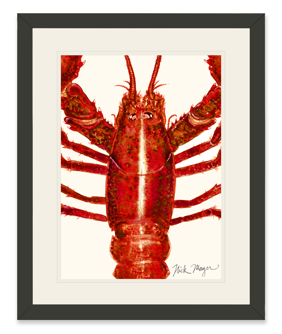 Red Lobster Closeup Limited Edition Print
