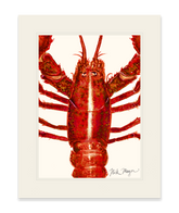 Red Lobster Closeup Print