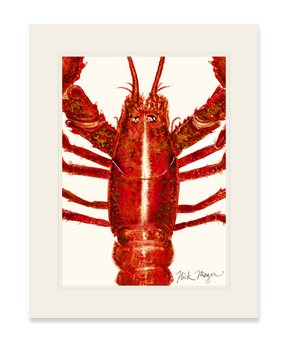 Red Lobster Closeup Print