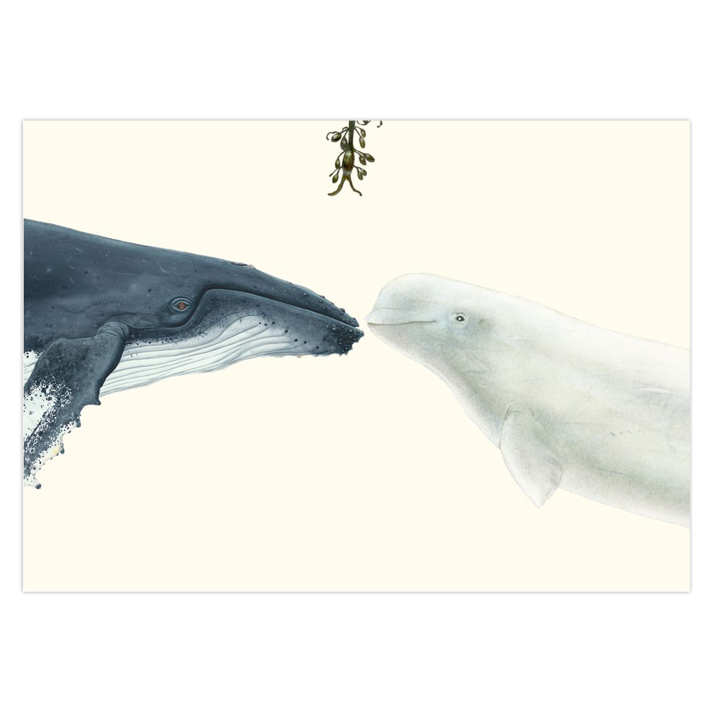 Holiday Kisses Cards, Whales 2