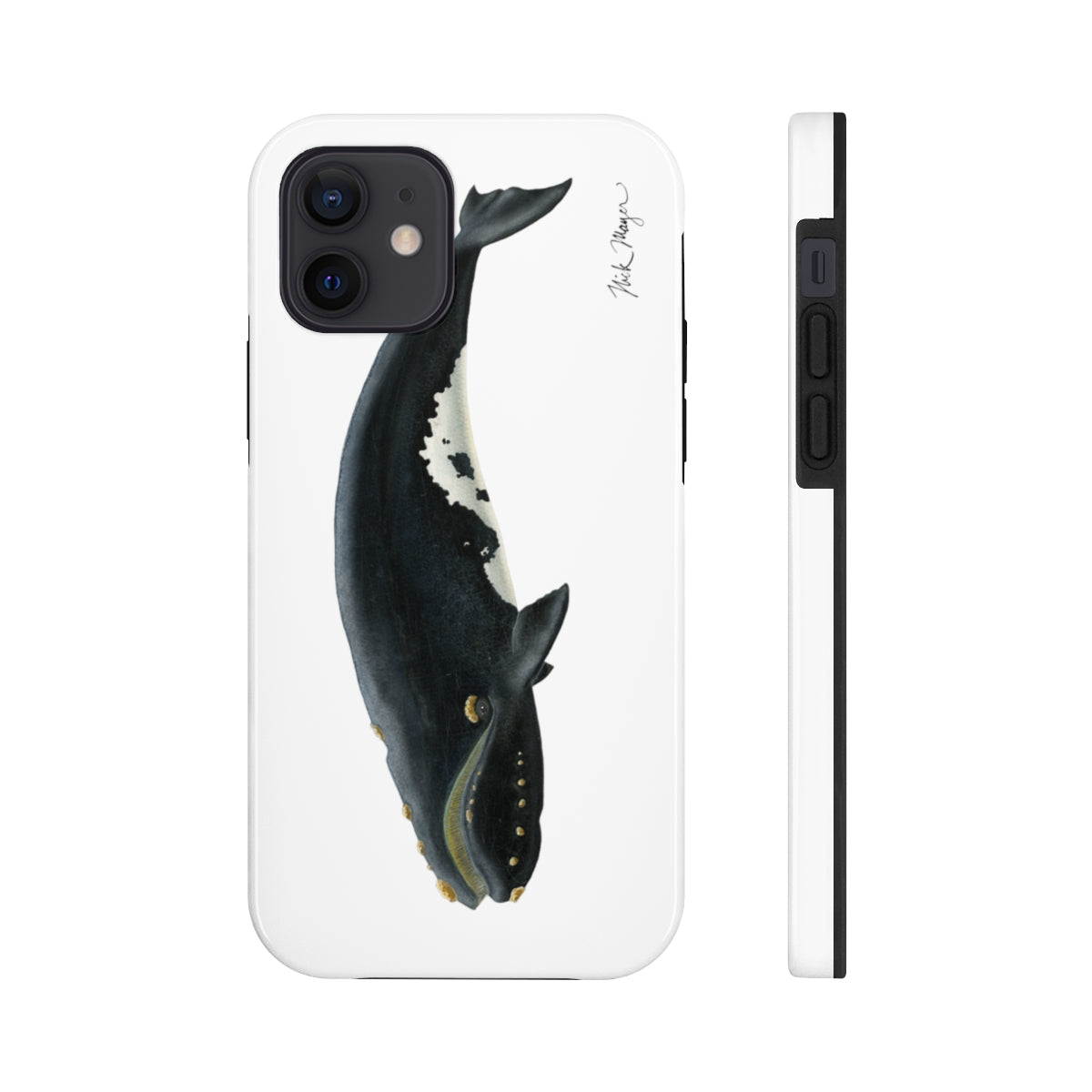 Right Whale Phone Case (iPhone)