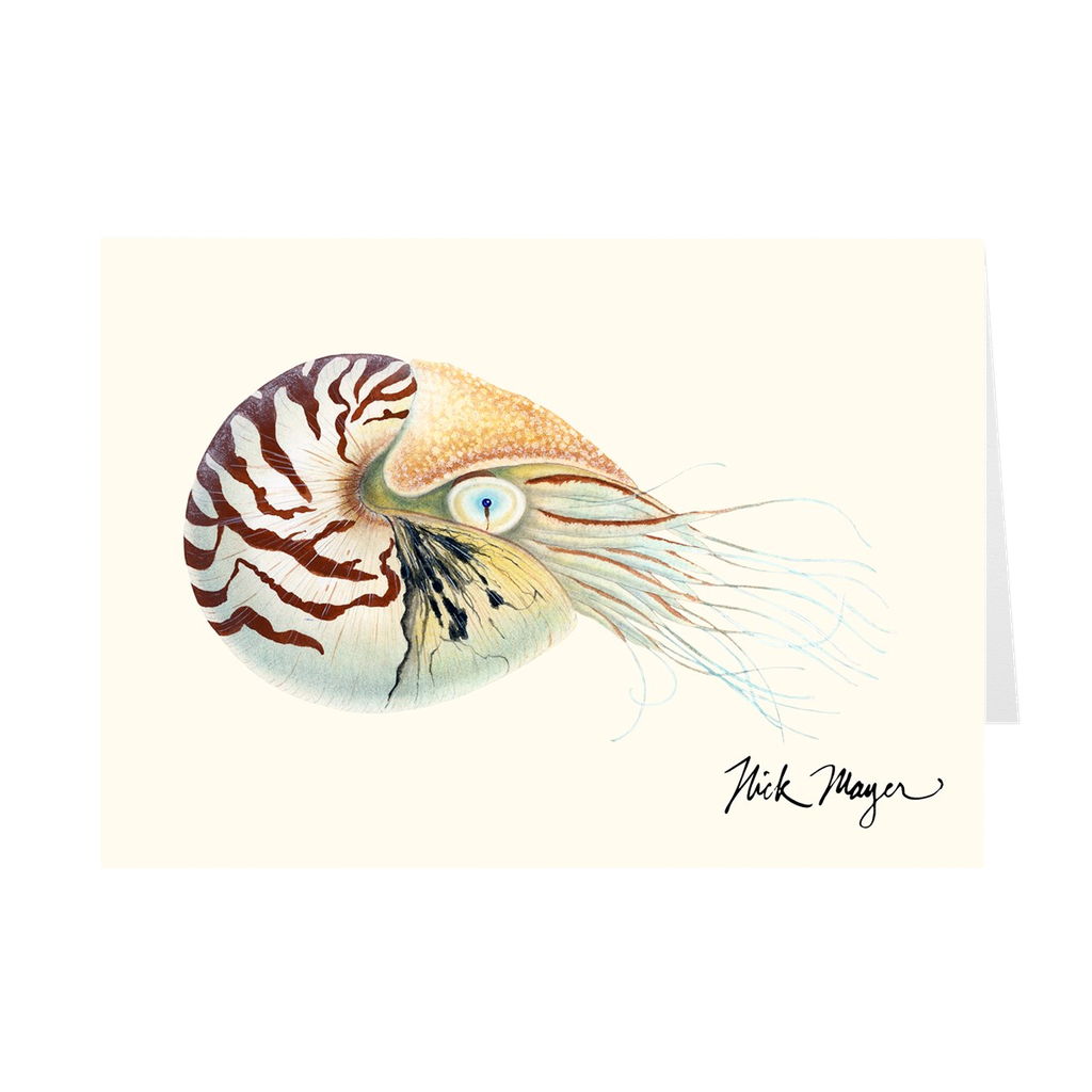 Chambered Nautilus Notecards