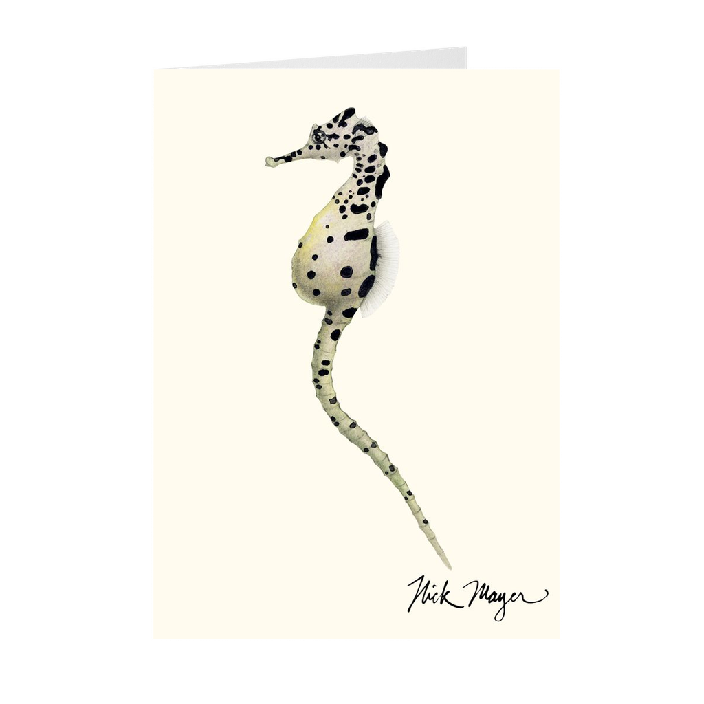 Pot Bellied Seahorse Notecards