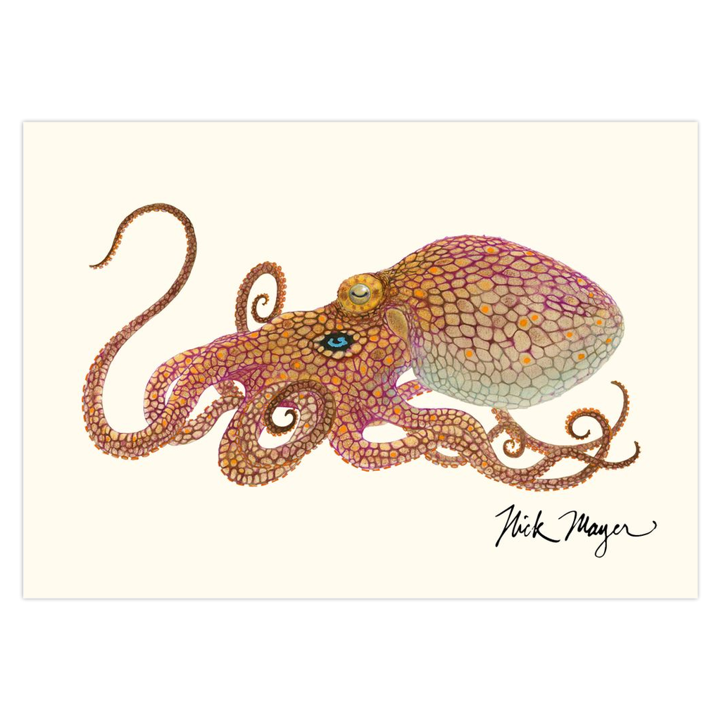 Two Spot Octopus Notecards