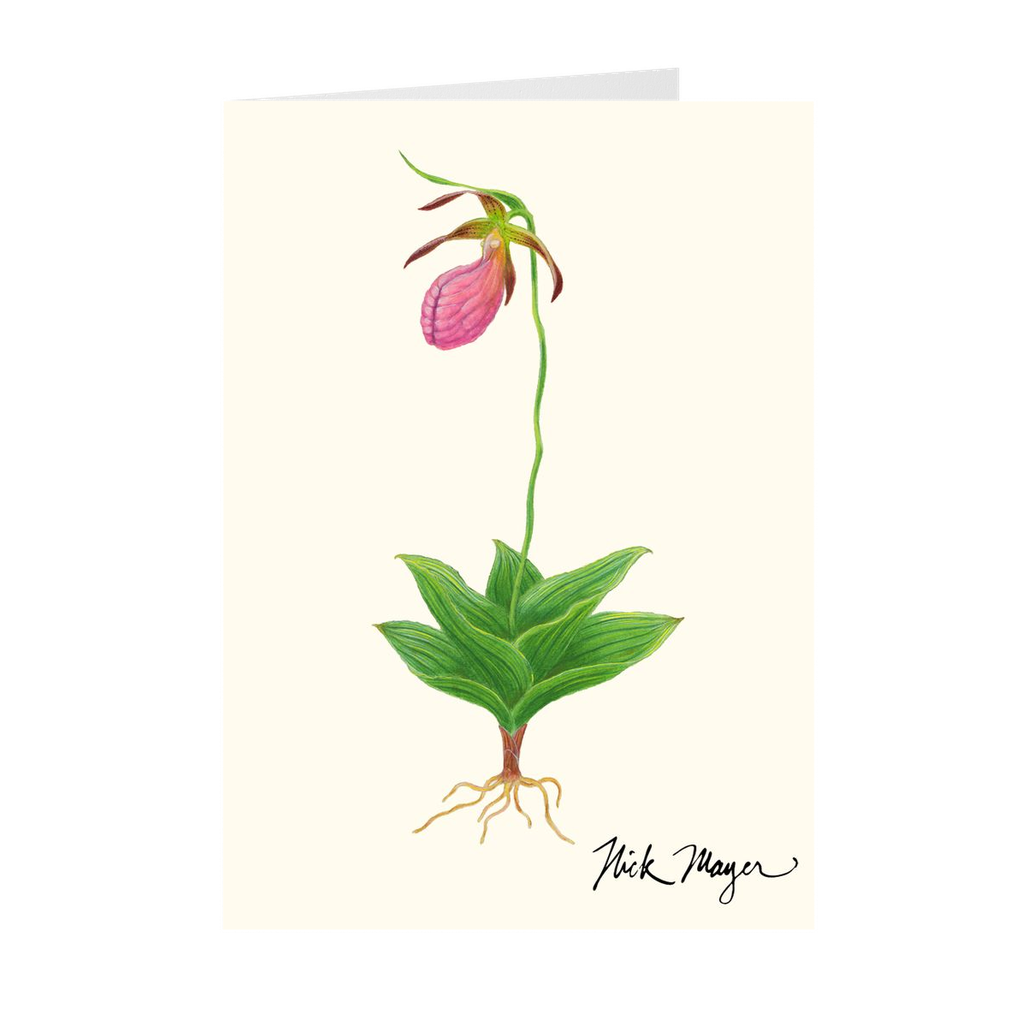 Pink Lady's Slipper Notecards