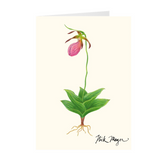 Pink Lady's Slipper Notecards