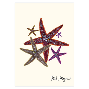 Starfish II Notecards