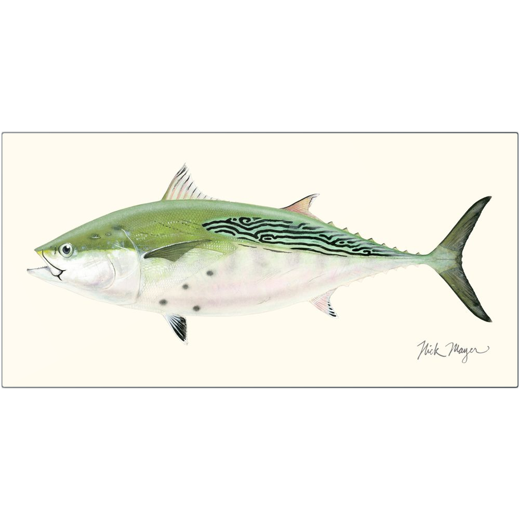 False Albacore 4 Metal Print