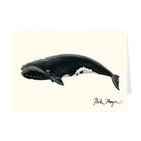 Right Whale Notecards