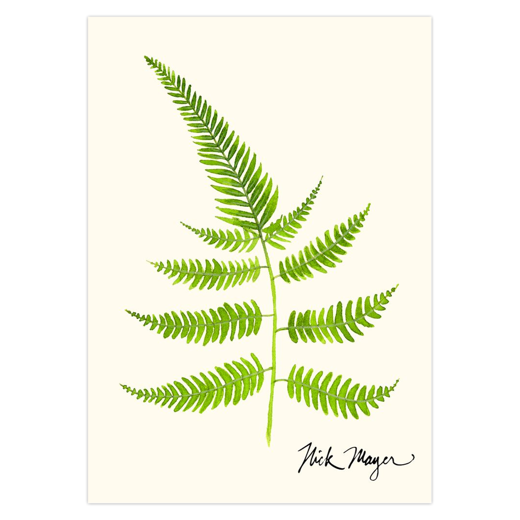 Painted Fern Notecards