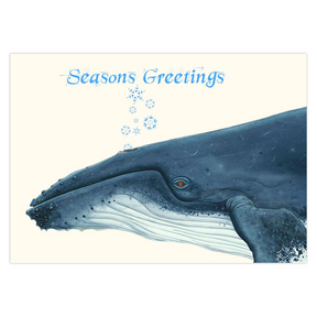 Whale Greetings Holiday Cards